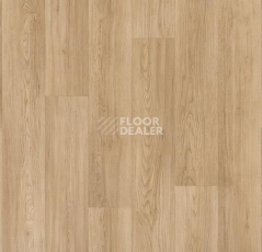 Линолеум Forbo Modul'up Compact Wood 8513UP43C blond chill oak фото 1 | FLOORDEALER